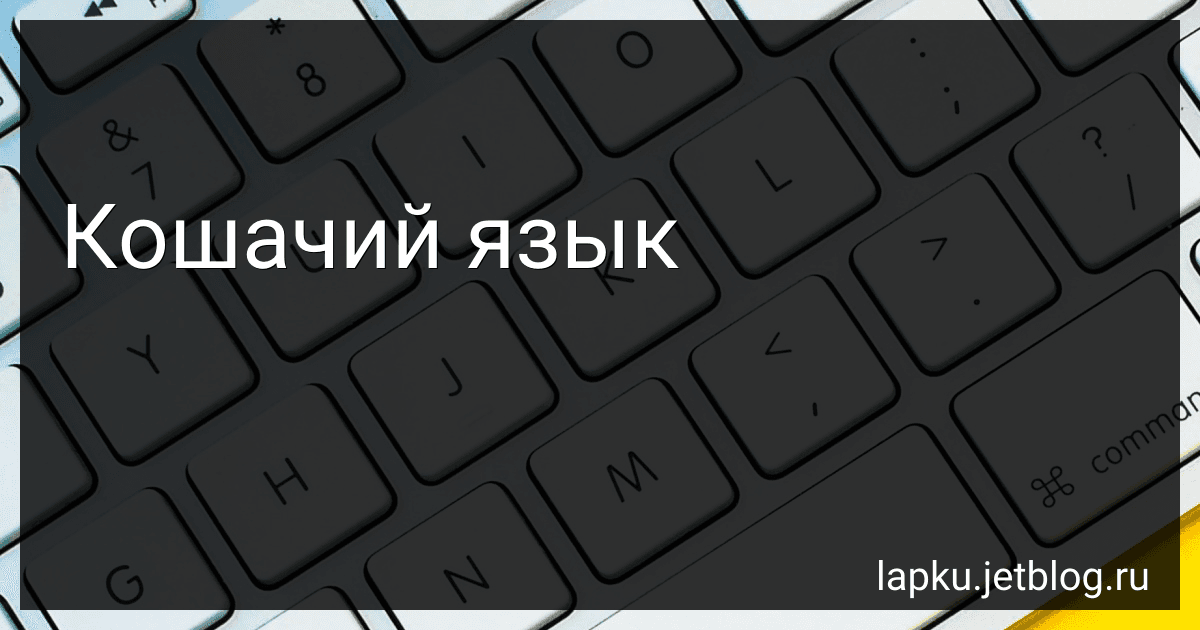 Кошачий язык image