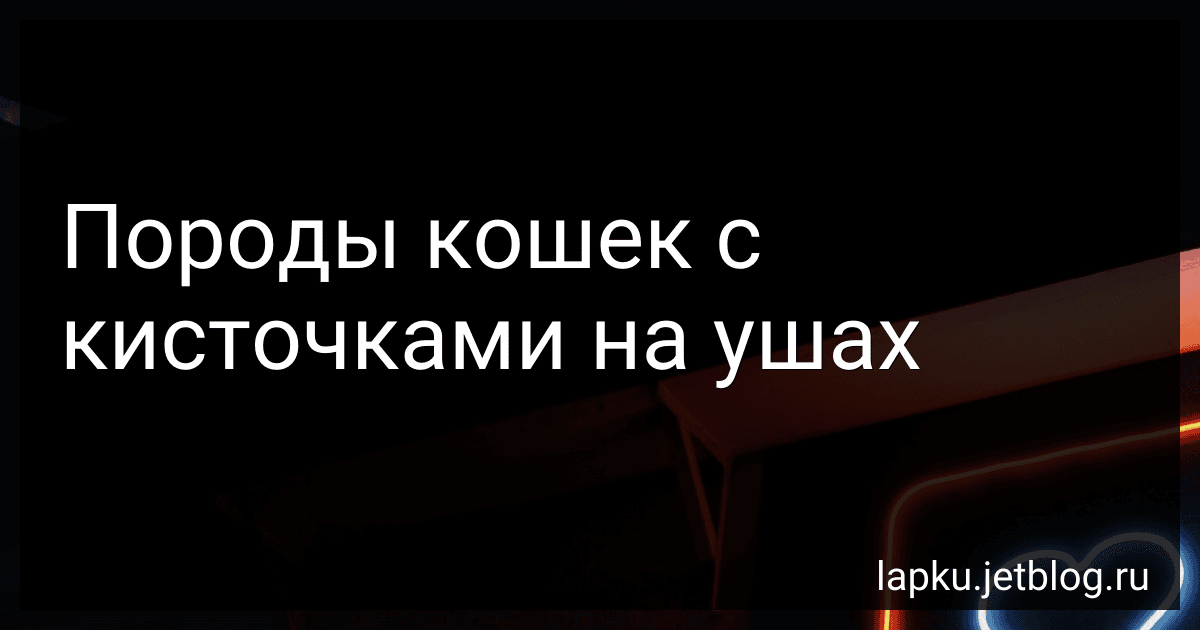 Породы кошек с кисточками на ушах image