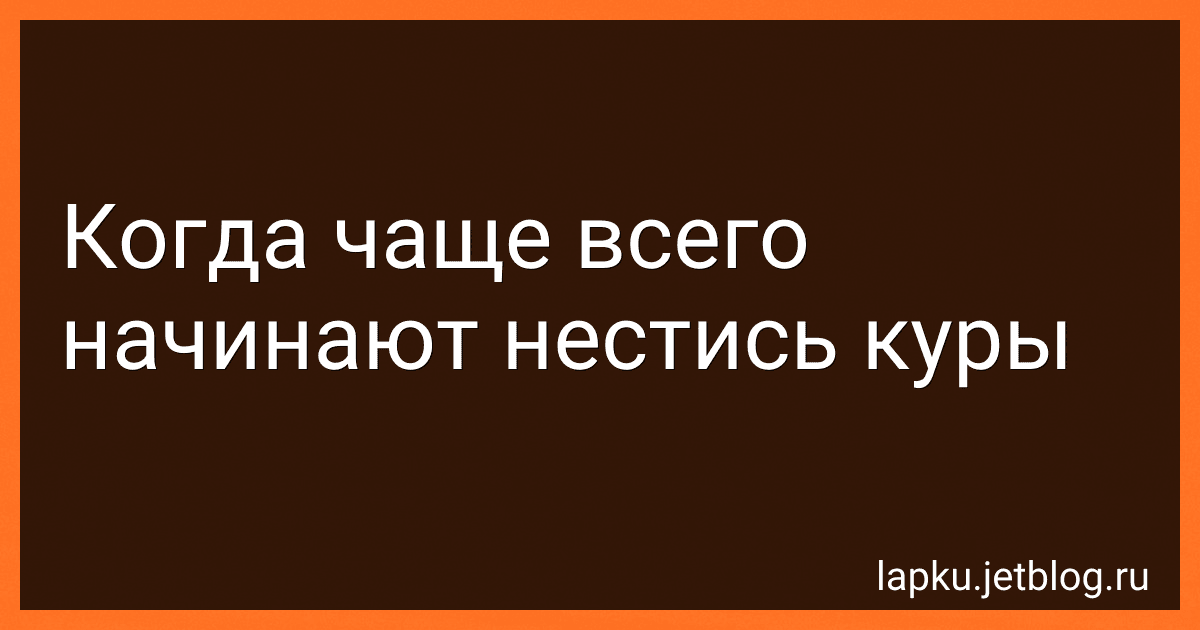 Когда чаще всего начинают нестись куры image