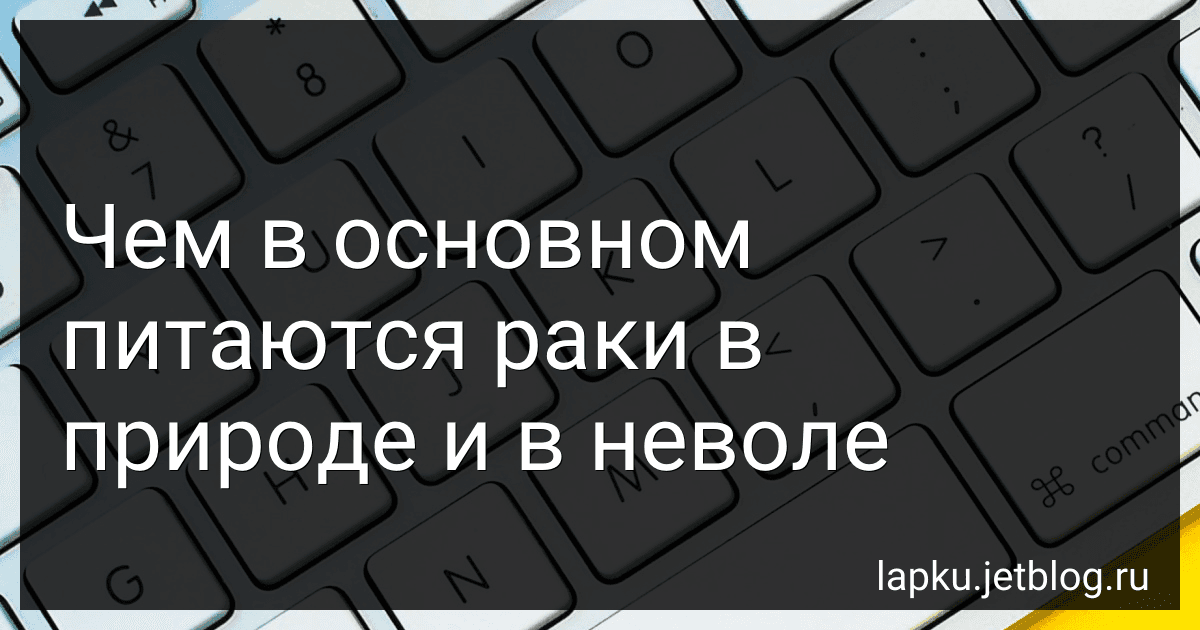 Чем в основном питаются раки в природе и в неволе image