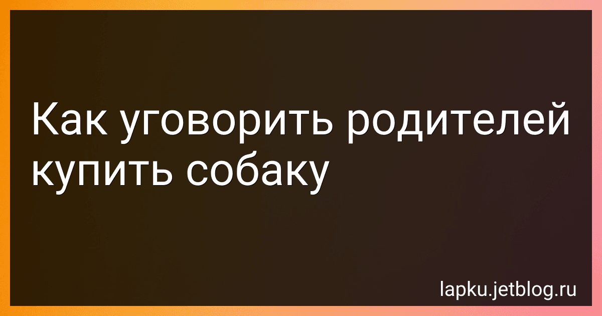 Как уговорить родителей купить собаку image