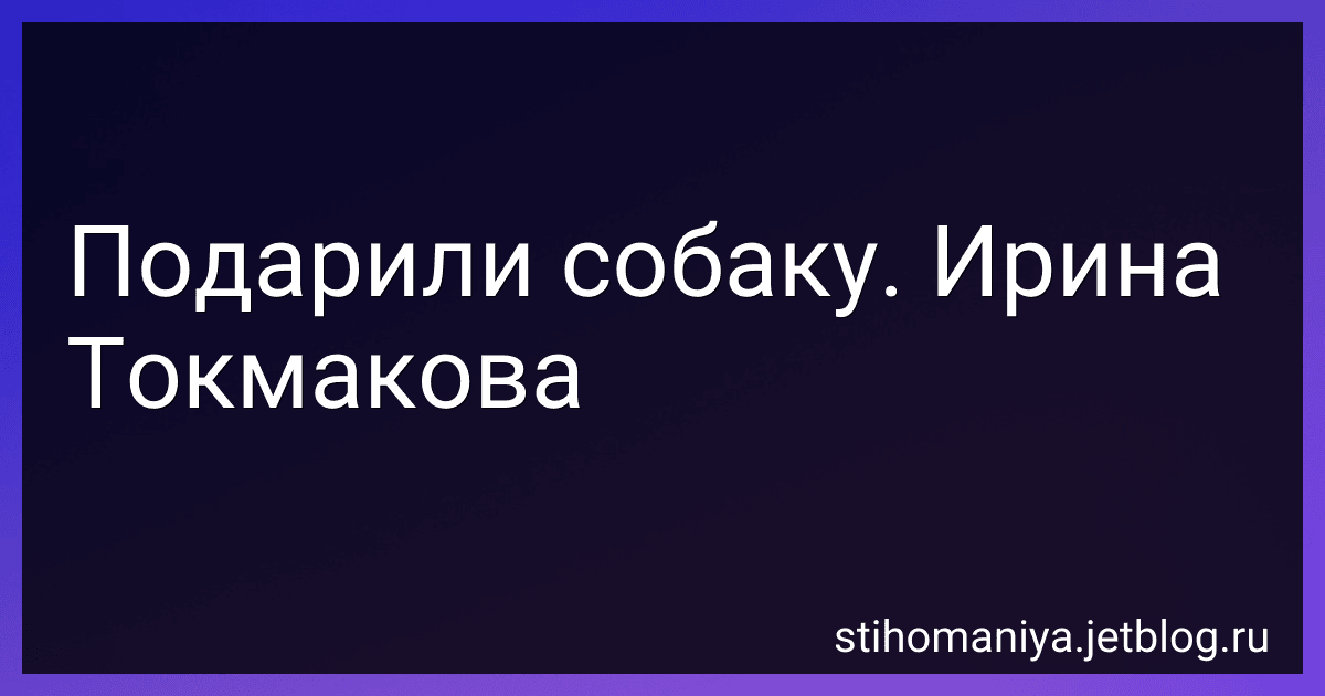 Подарили собаку. Ирина Токмакова preview