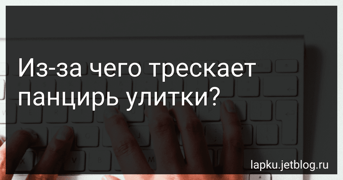 Из-за чего трескает панцирь улитки? image