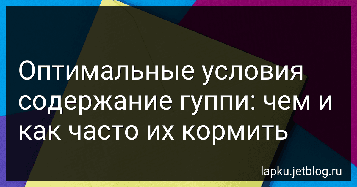 Оптимальные условия содержание гуппи: чем и как часто их кормить preview
