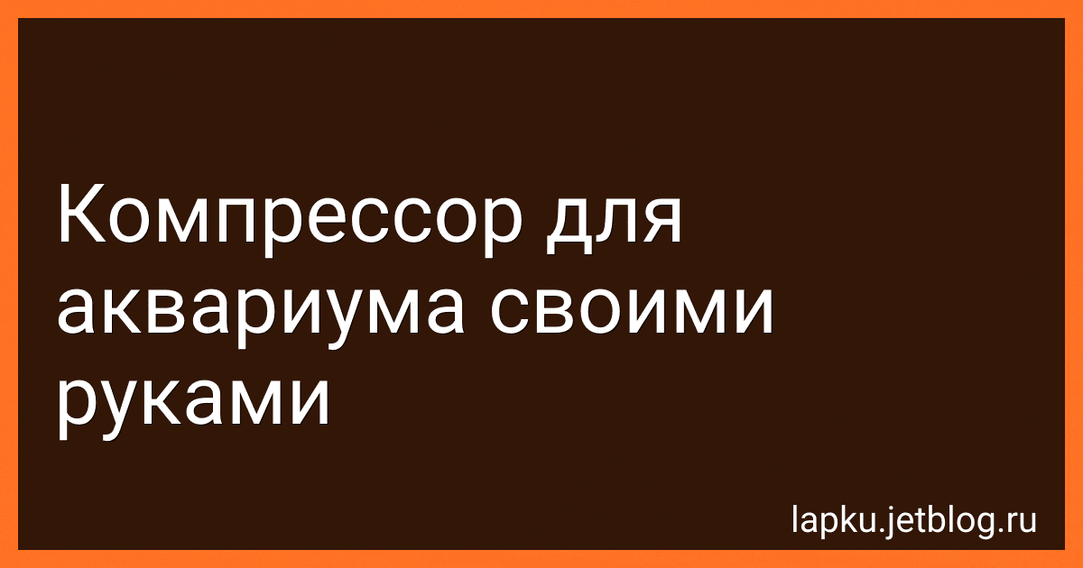 Компрессор для аквариума своими руками image