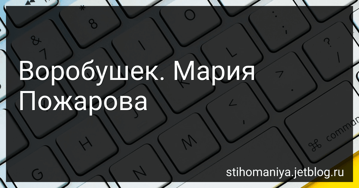 Воробушек. Мария Пожарова preview
