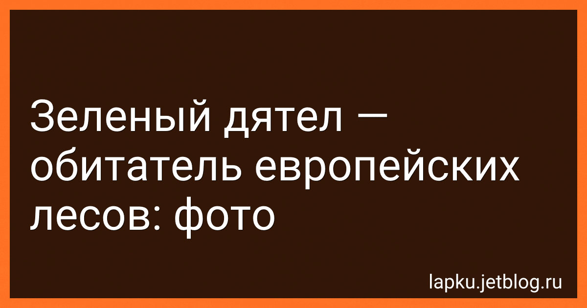 Зеленый дятел - обитатель европейских лесов: фото image