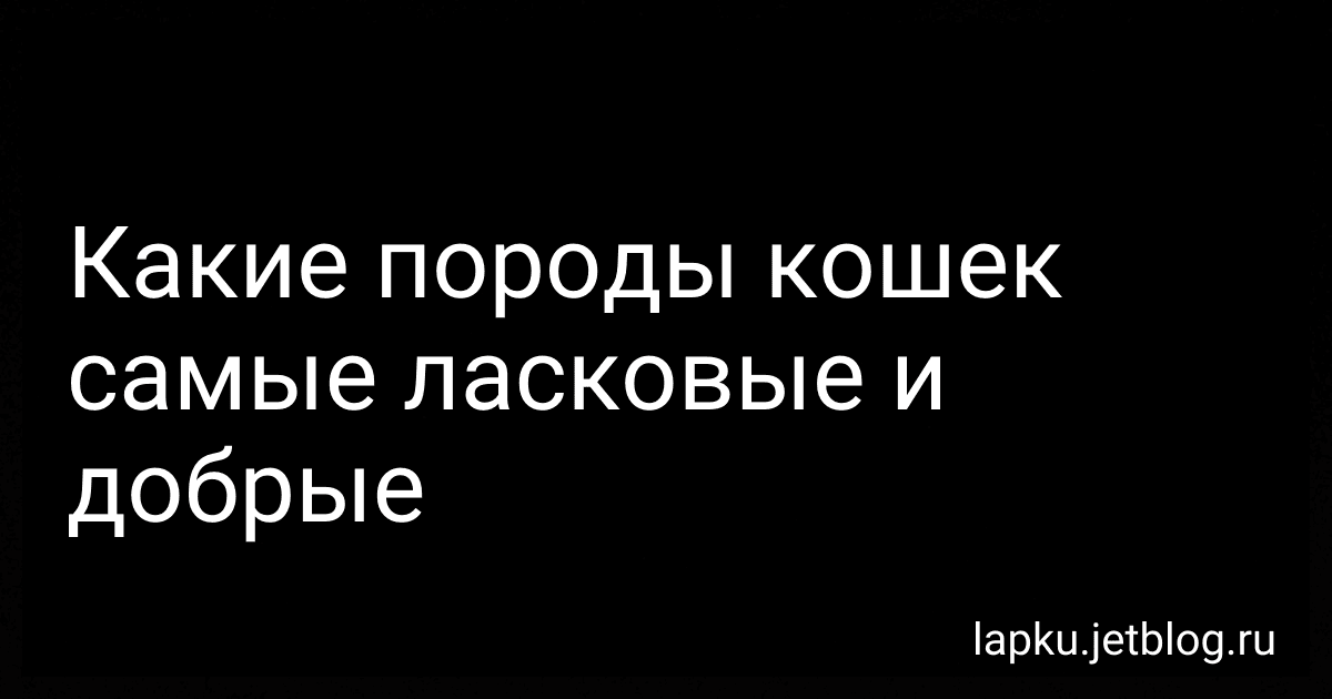 Какие породы кошек самые ласковые и добрые image