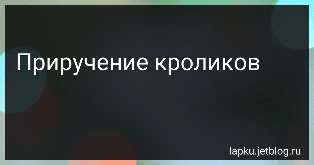Приручение кроликов image