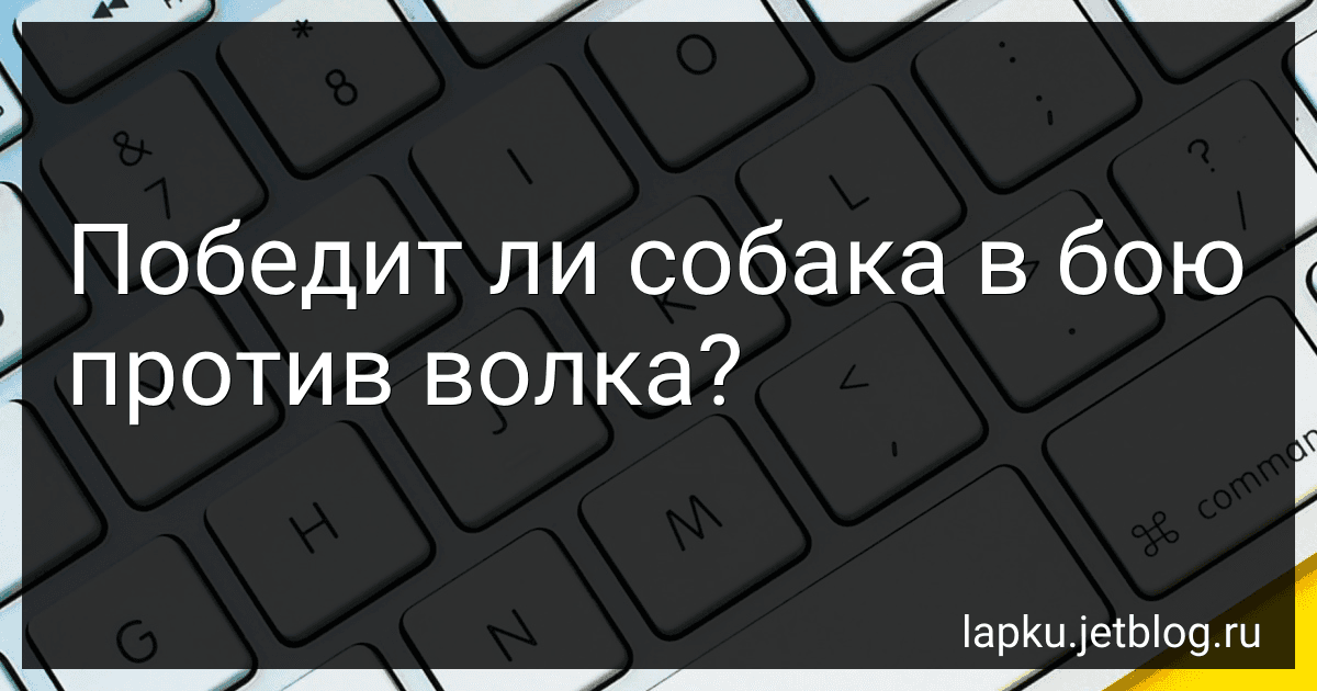 Победит ли собака в бою против волка? preview