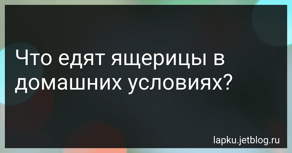 Что едят ящерицы в домашних условиях? preview