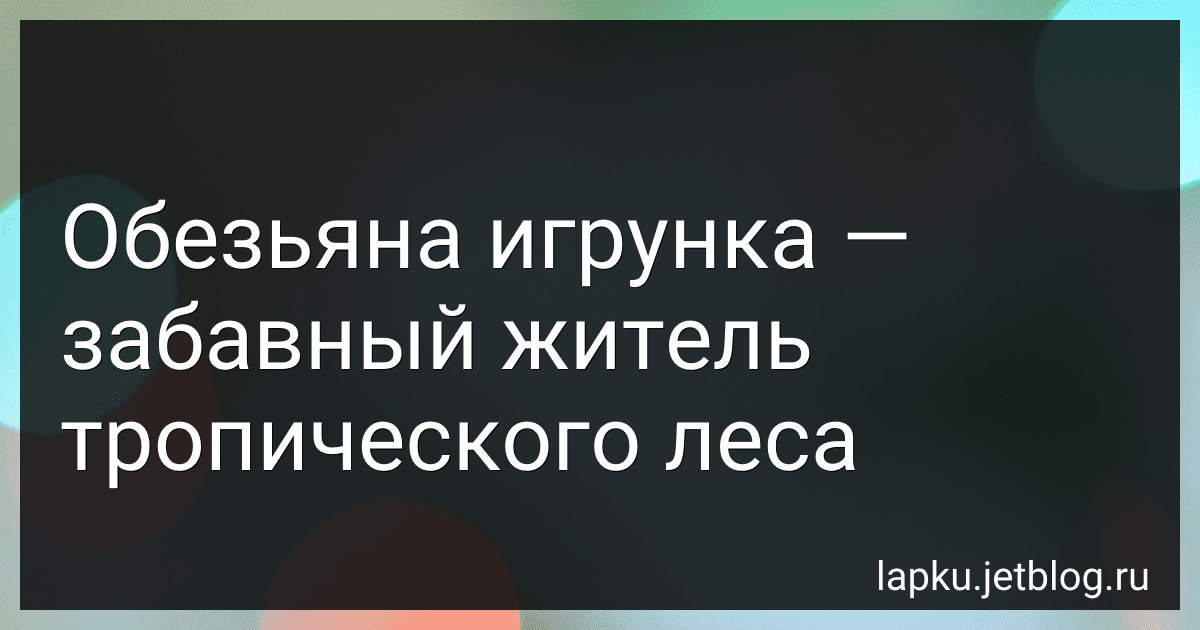 Обезьяна игрунка - забавный житель тропического леса image