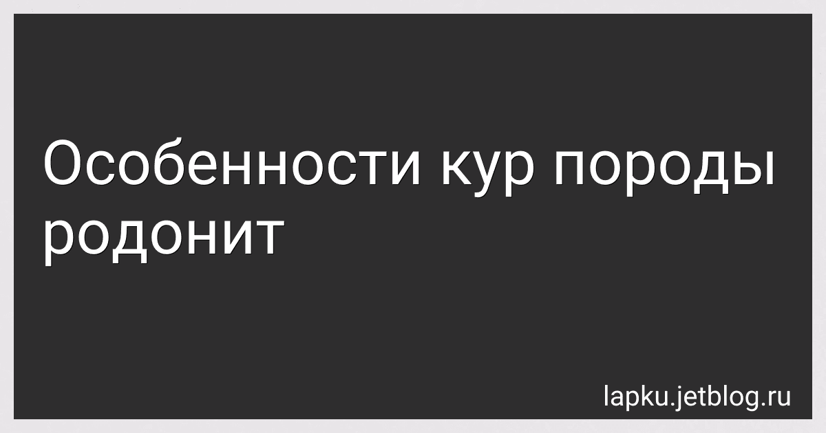 Особенности кур породы родонит image