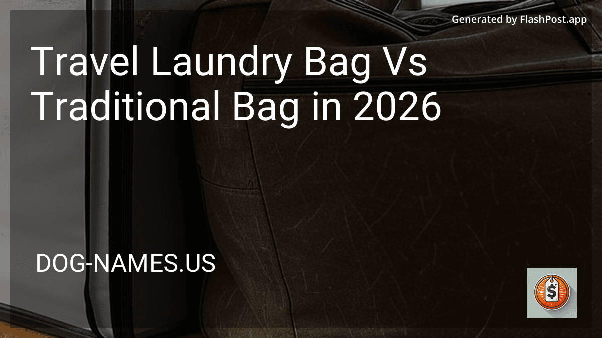 Travel Laundry Bag Vs Traditional Bag in 2026 image
