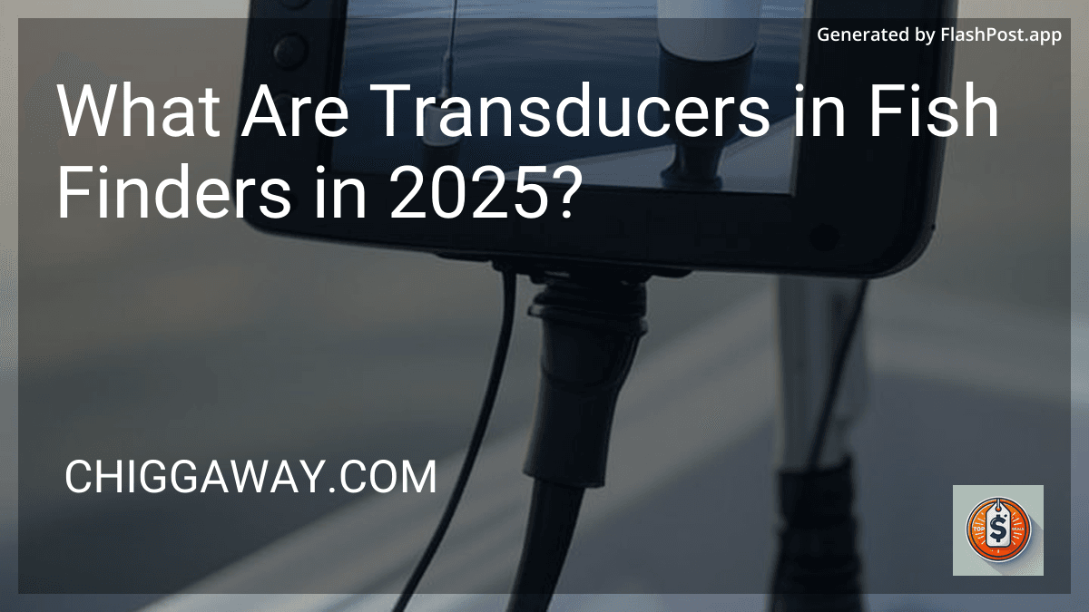 What Are Transducers in Fish Finders in 2025? preview