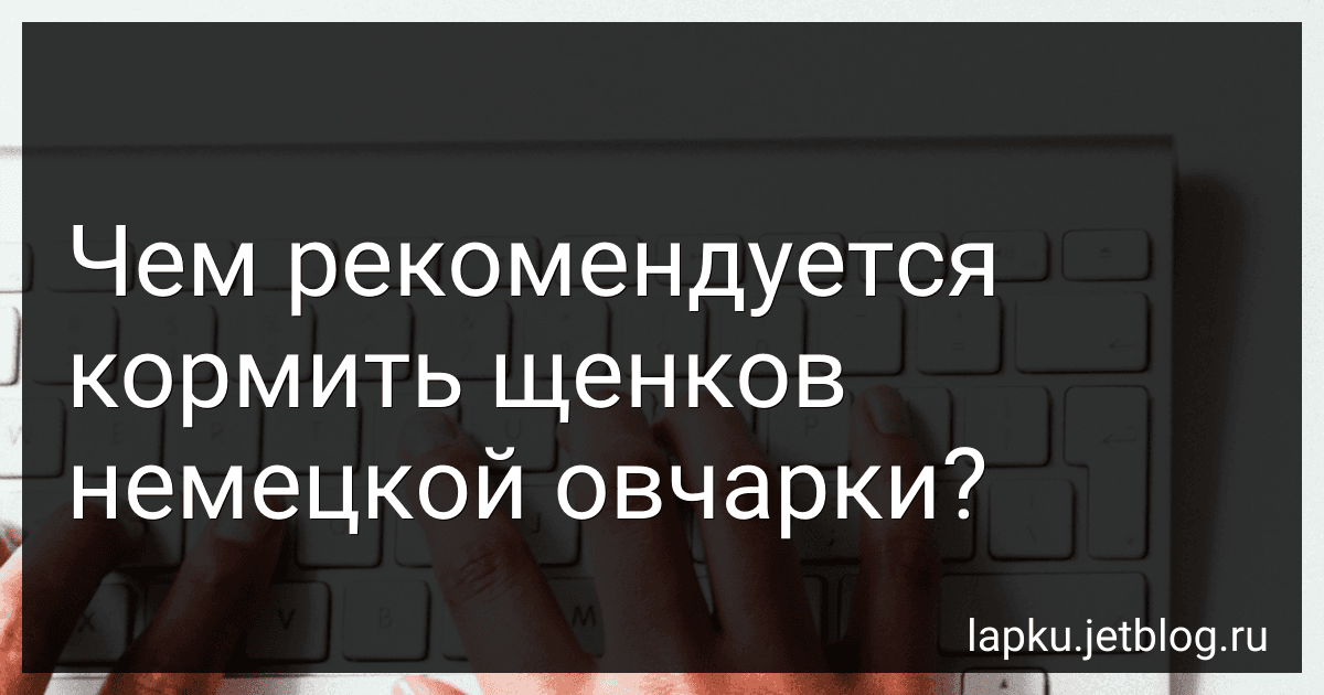 Чем рекомендуется кормить щенков немецкой овчарки? preview