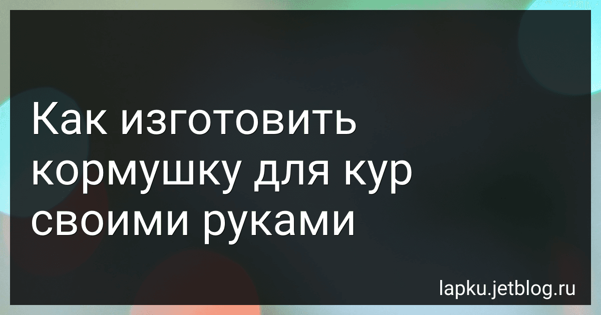 Как изготовить кормушку для кур своими руками image