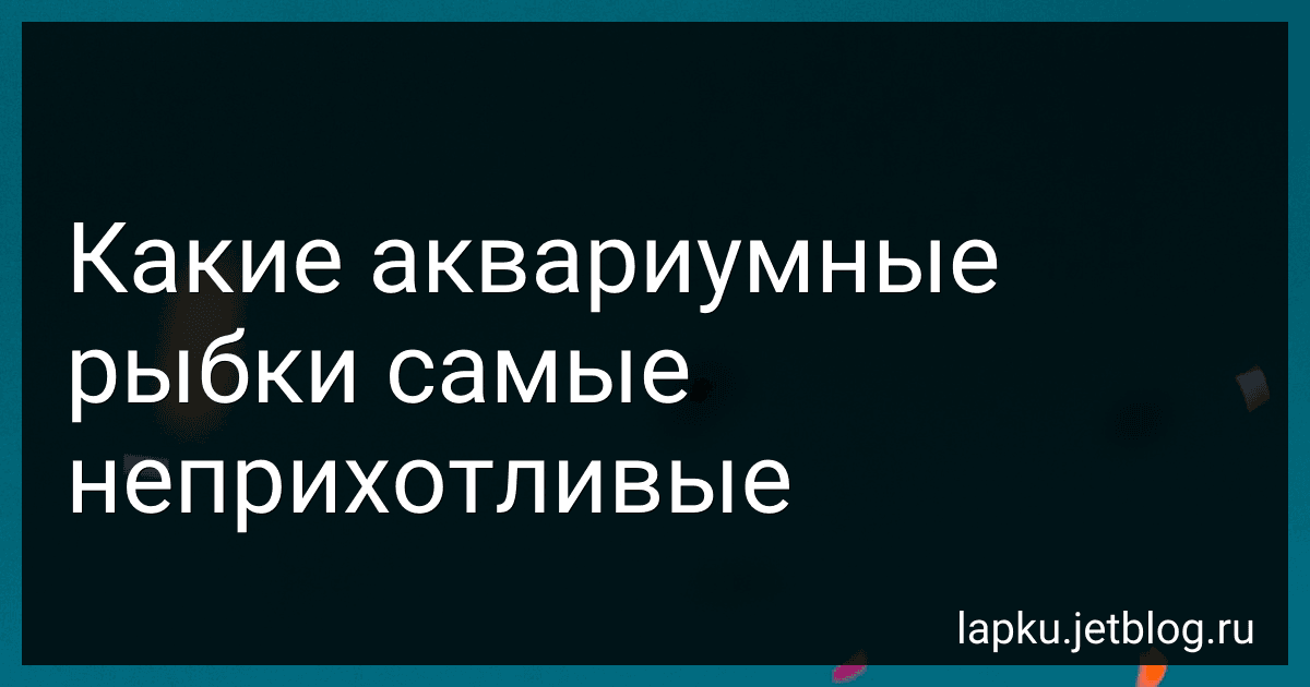 Какие аквариумные рыбки самые неприхотливые image