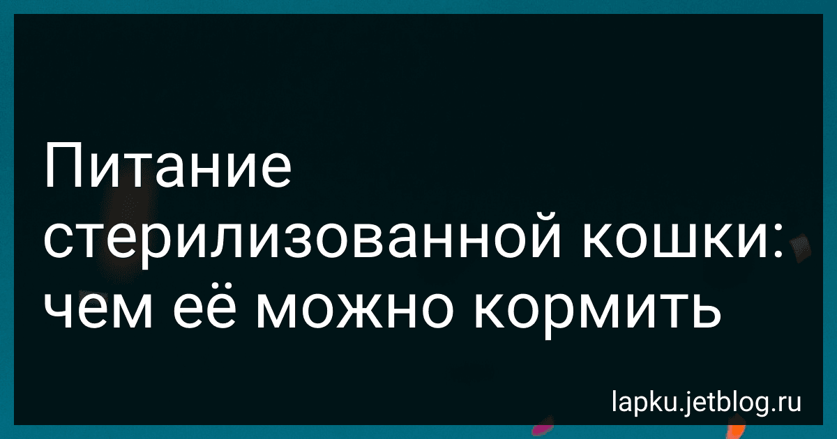 Питание стерилизованной кошки: чем её можно кормить image