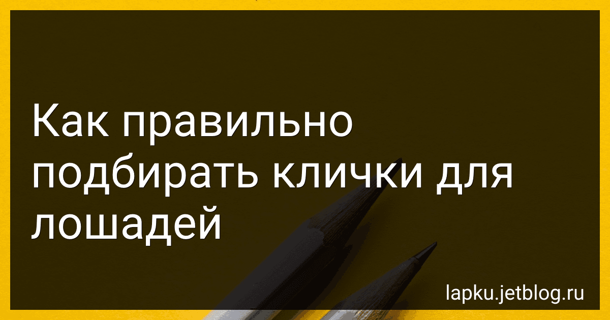 Как правильно подбирать клички для лошадей preview