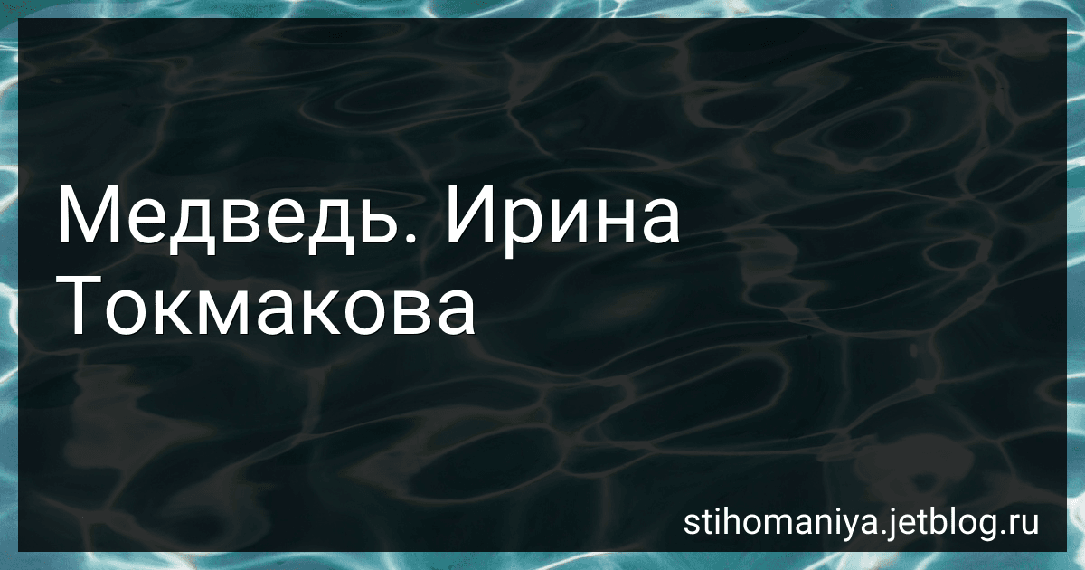 Медведь. Ирина Токмакова preview