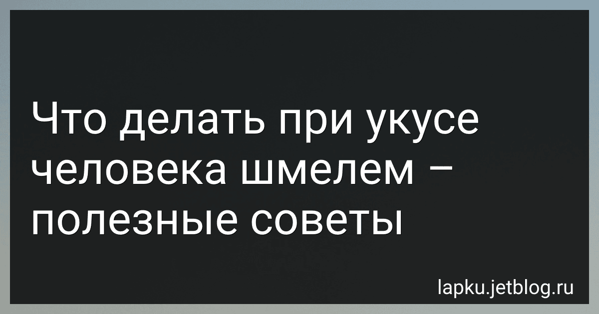 Что делать при укусе человека шмелем – полезные советы image