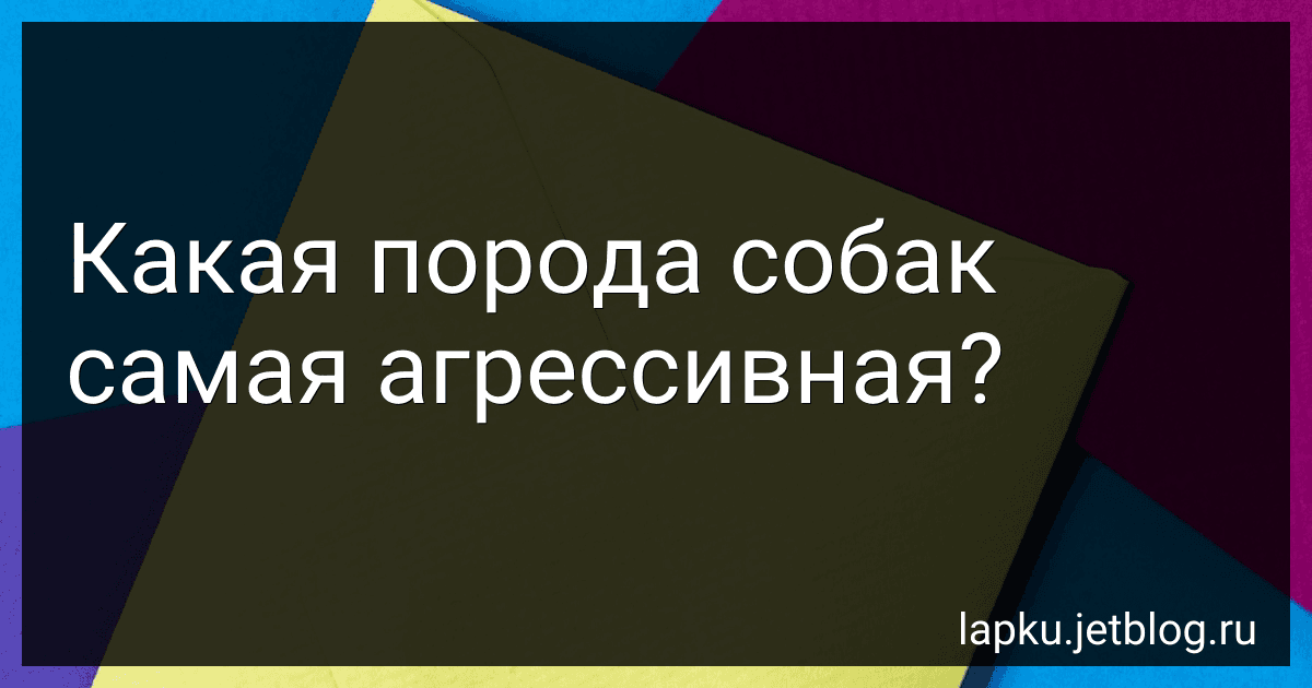 Какая порода собак самая агрессивная? preview