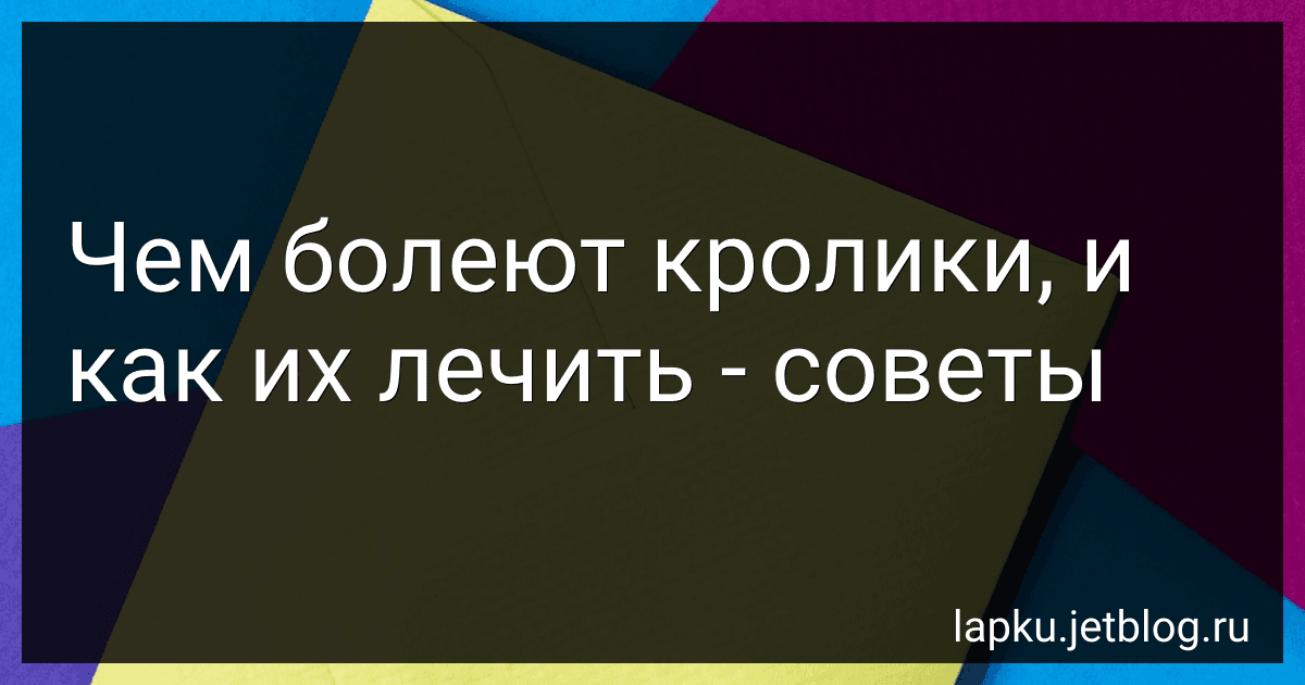 Чем болеют кролики, и как их лечить - советы image