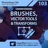 Brushes, Vector Tools Course for Photoshop