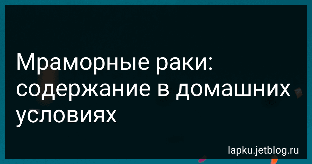 Мраморные раки: содержание в домашних условиях image