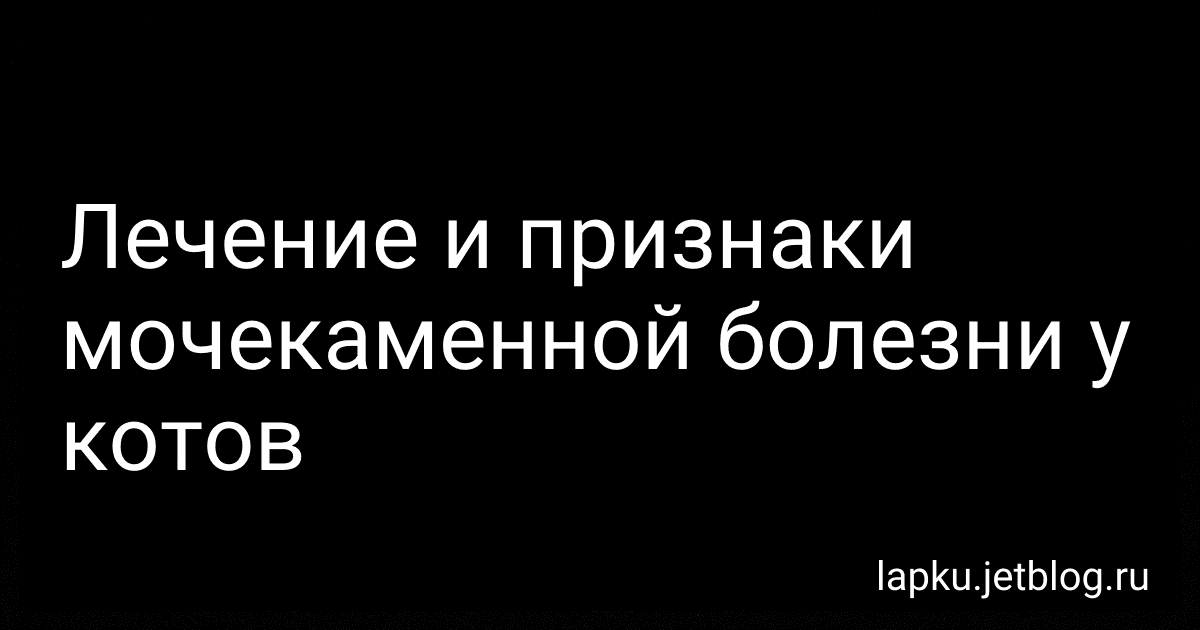 Лечение и признаки мочекаменной болезни у котов image