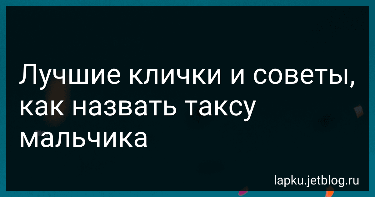 Лучшие клички и советы, как назвать таксу мальчика image