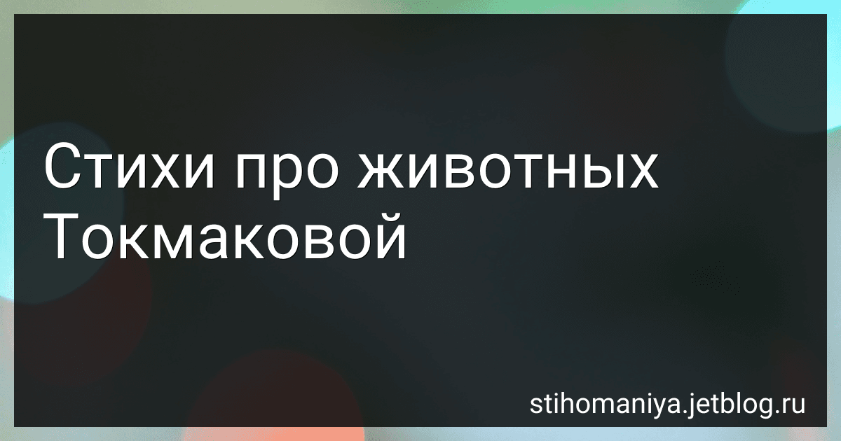 Стихи про животных Токмаковой preview