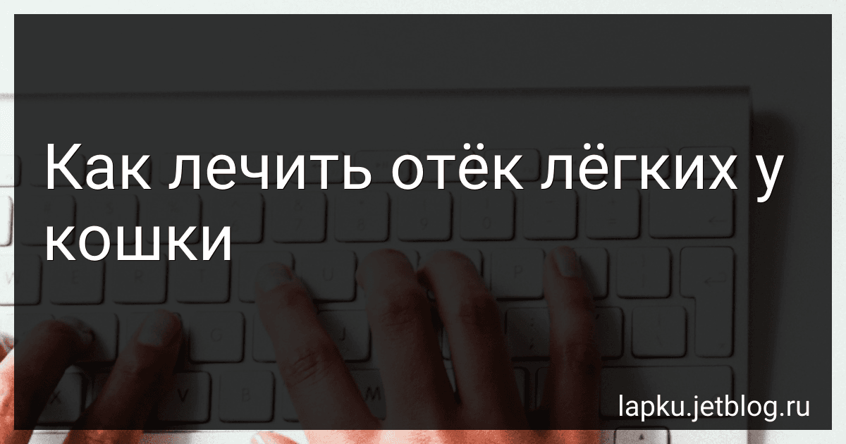 Как лечить отёк лёгких у кошки image