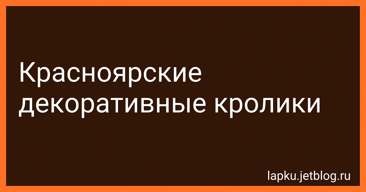 Красноярские декоративные кролики image