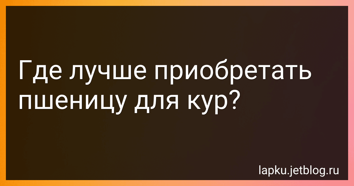 Где лучше приобретать пшеницу для кур? image
