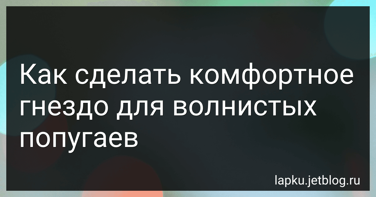 Как сделать комфортное гнездо для волнистых попугаев image