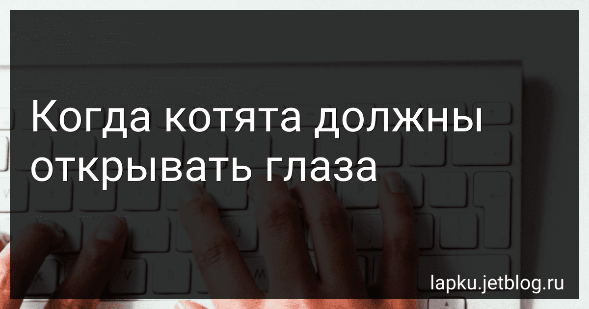 Когда котята должны открывать глаза image