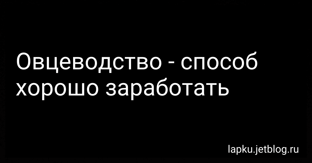 Овцеводство - способ хорошо заработать image