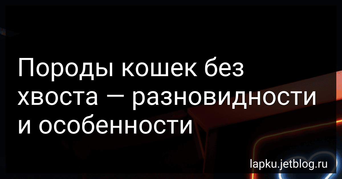 Породы кошек без хвоста - разновидности и особенности image