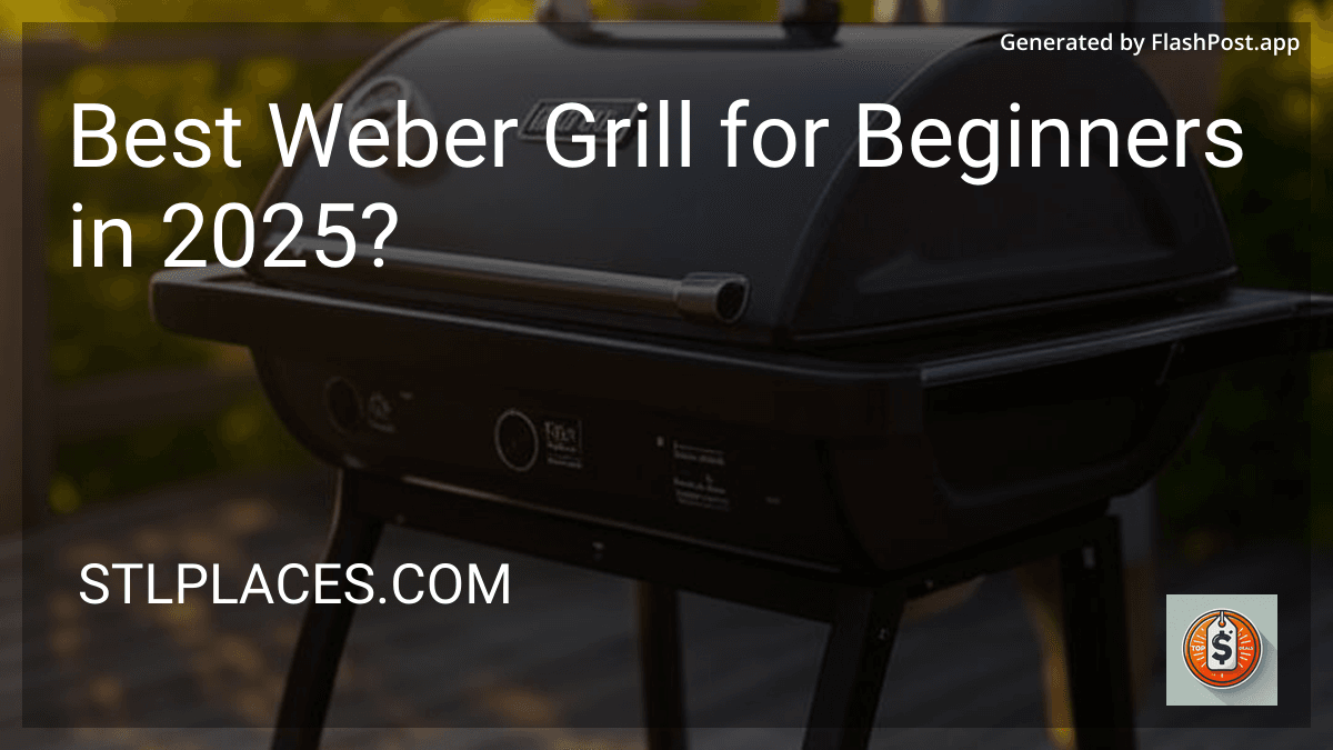 Best Weber Grill for Beginners in 2025? preview