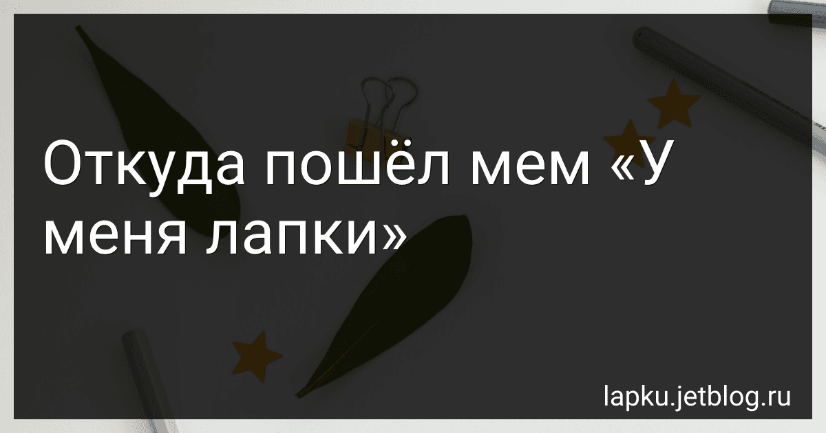 Откуда пошёл мем «У меня лапки» image