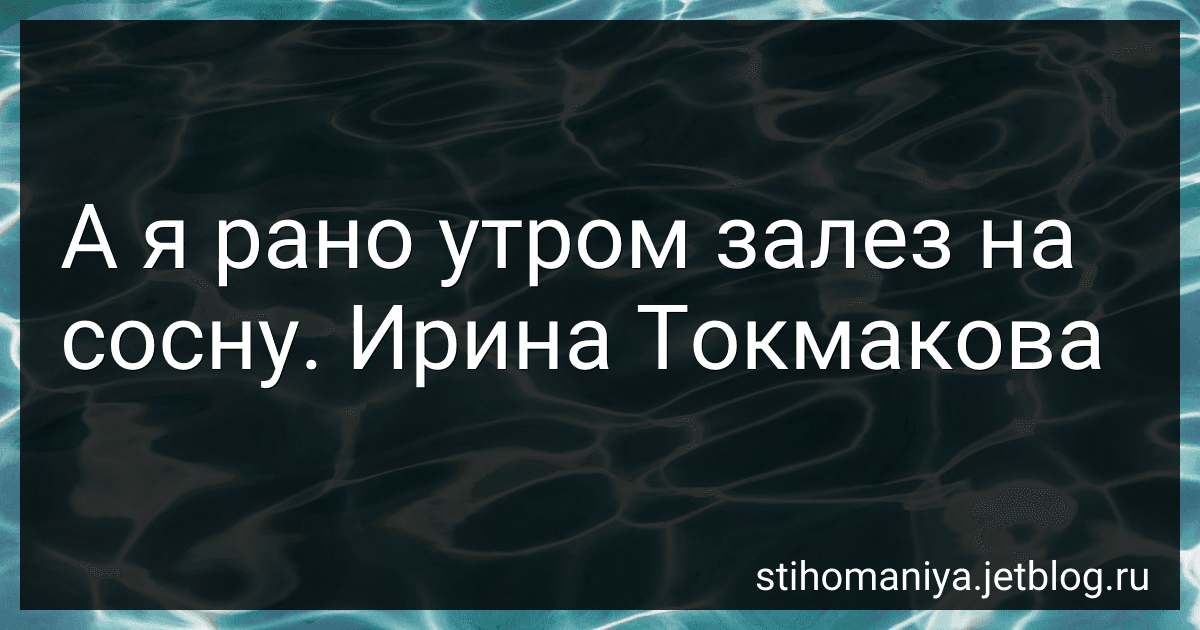 А я рано утром залез на сосну. Ирина Токмакова preview