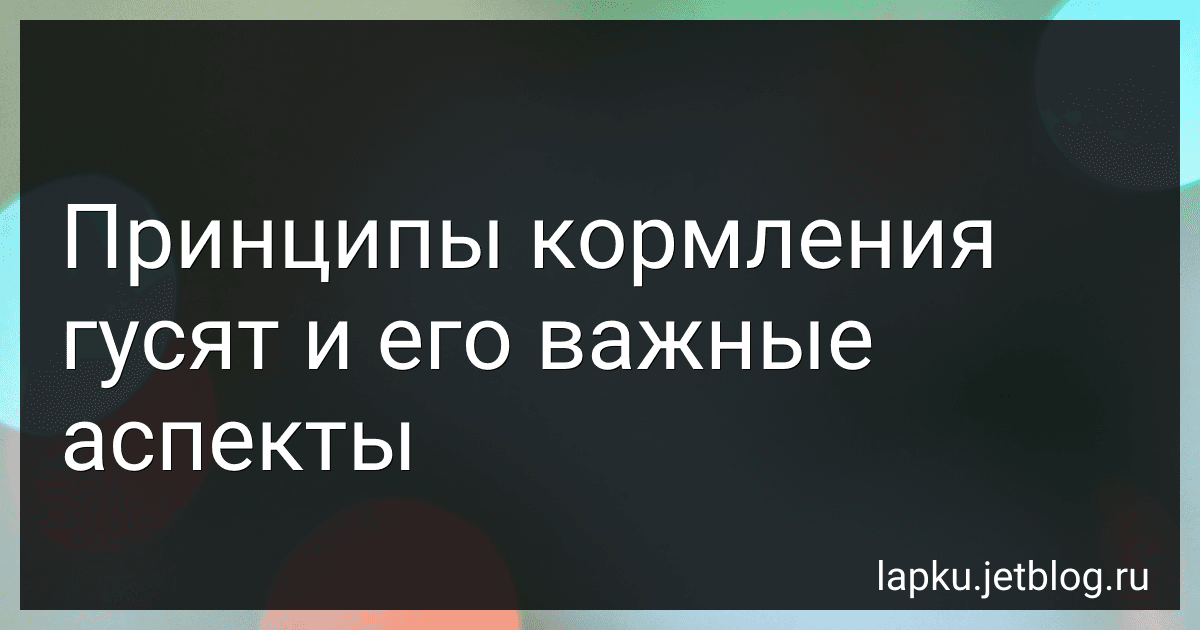 Принципы кормления гусят и его важные аспекты image
