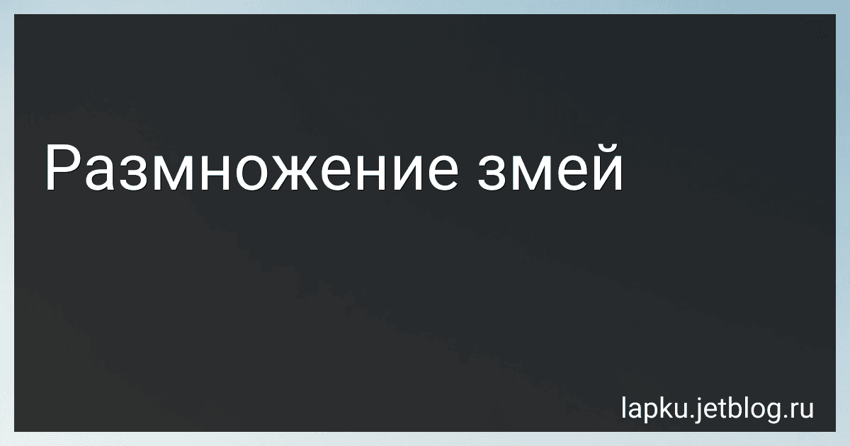 Размножение змей image