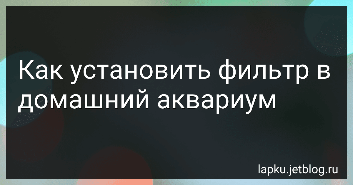 Как установить фильтр в домашний аквариум preview