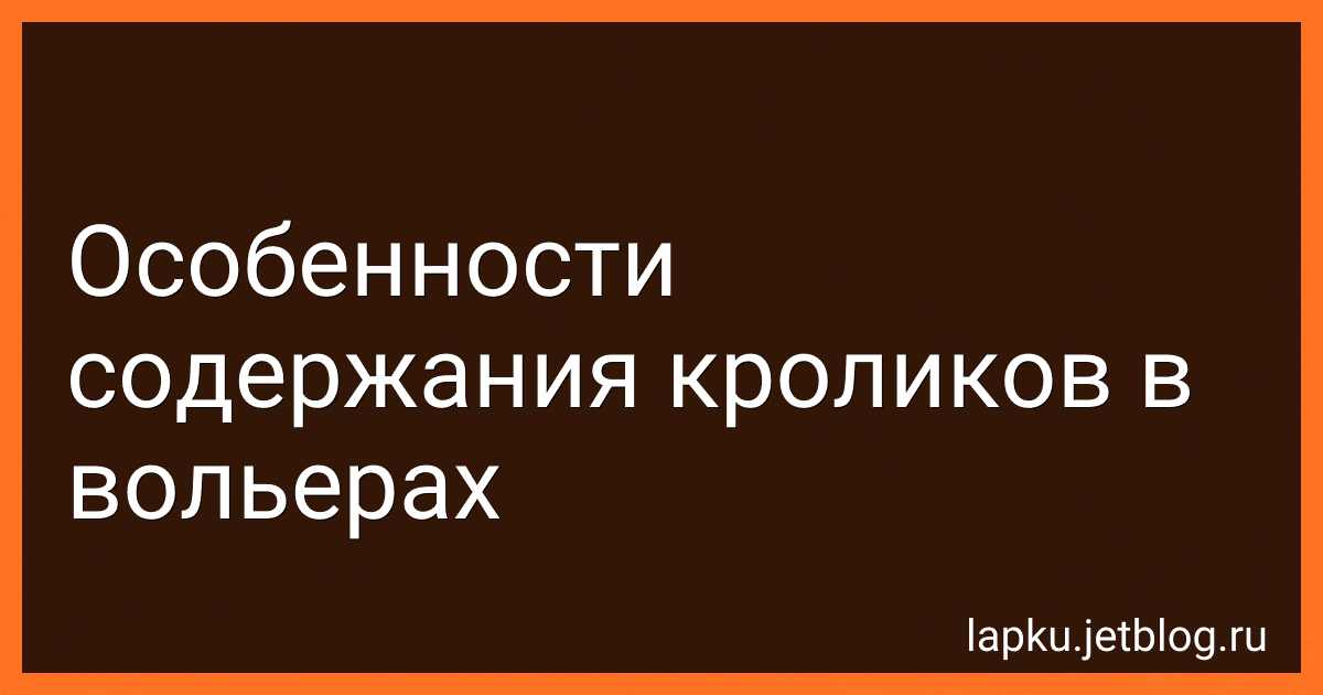 Особенности содержания кроликов в вольерах image