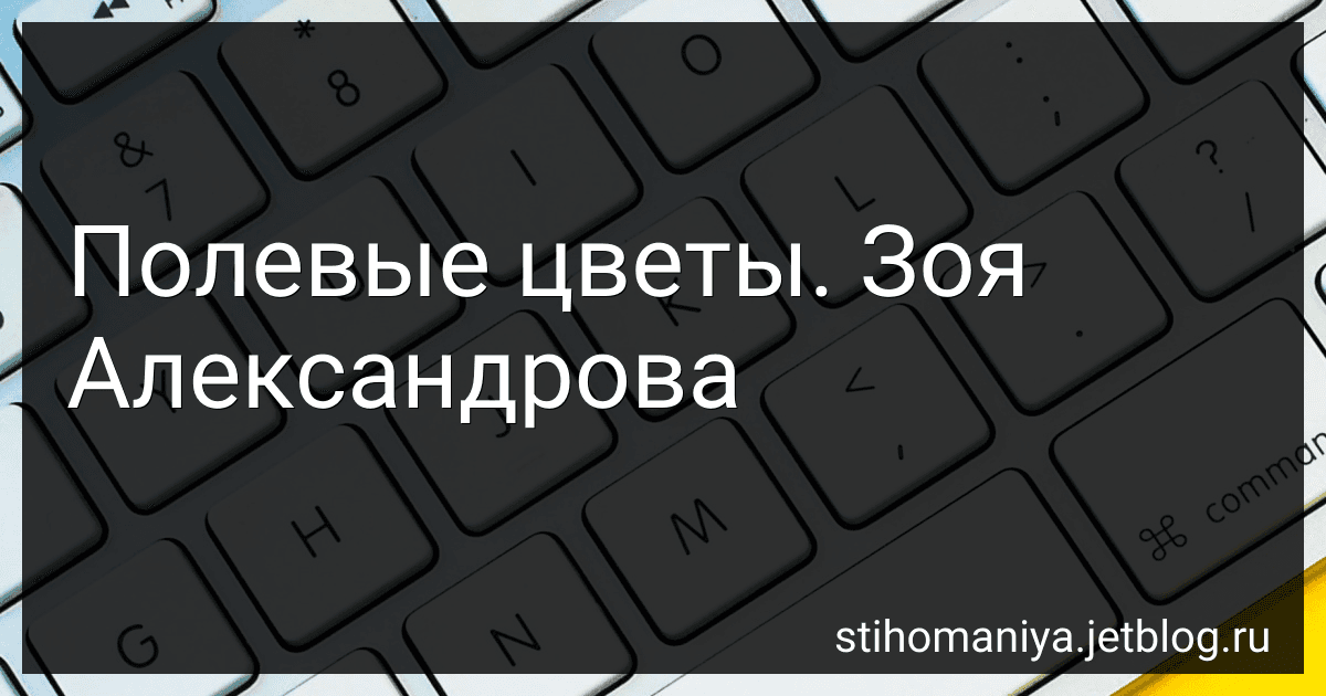 Полевые цветы. Зоя Александрова preview