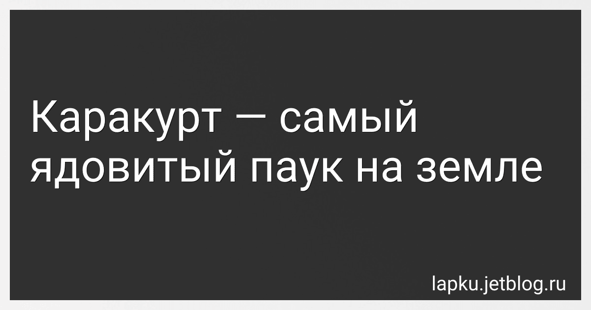 Каракурт - самый ядовитый паук на земле image