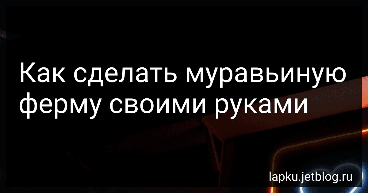 Как сделать муравьиную ферму своими руками image